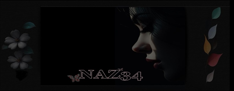 NAZ34 TEMA