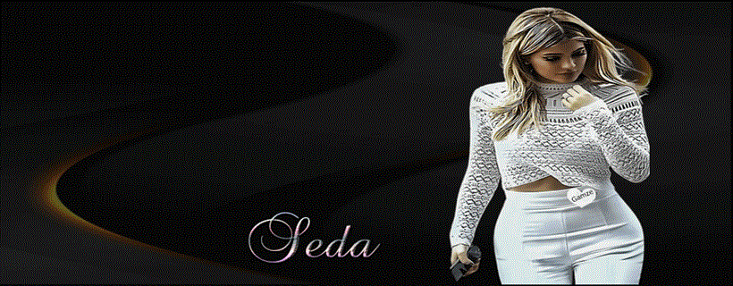 SEDA TEMALARI