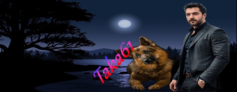 TAKA61 KÖPEKLİ TEMA