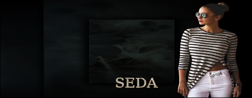 SEDA YAYIN TEMASI