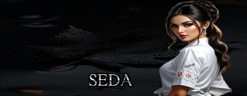 SEDA YAYIN TEMASI